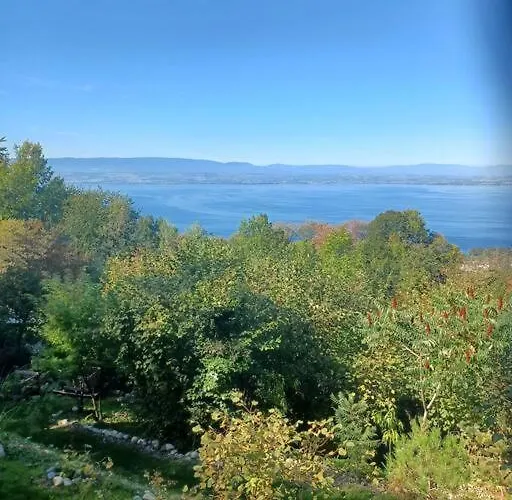 Charmante Location Hauts D'evian أفيو لي با